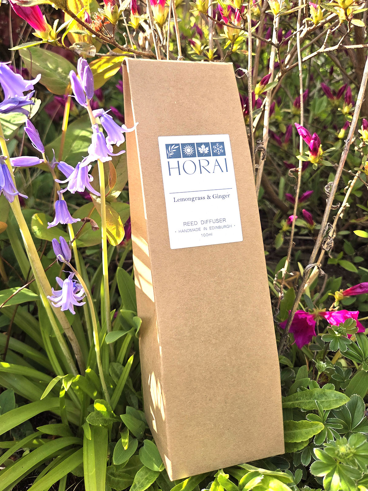 Lemongrass and Ginger Reed Diffuser