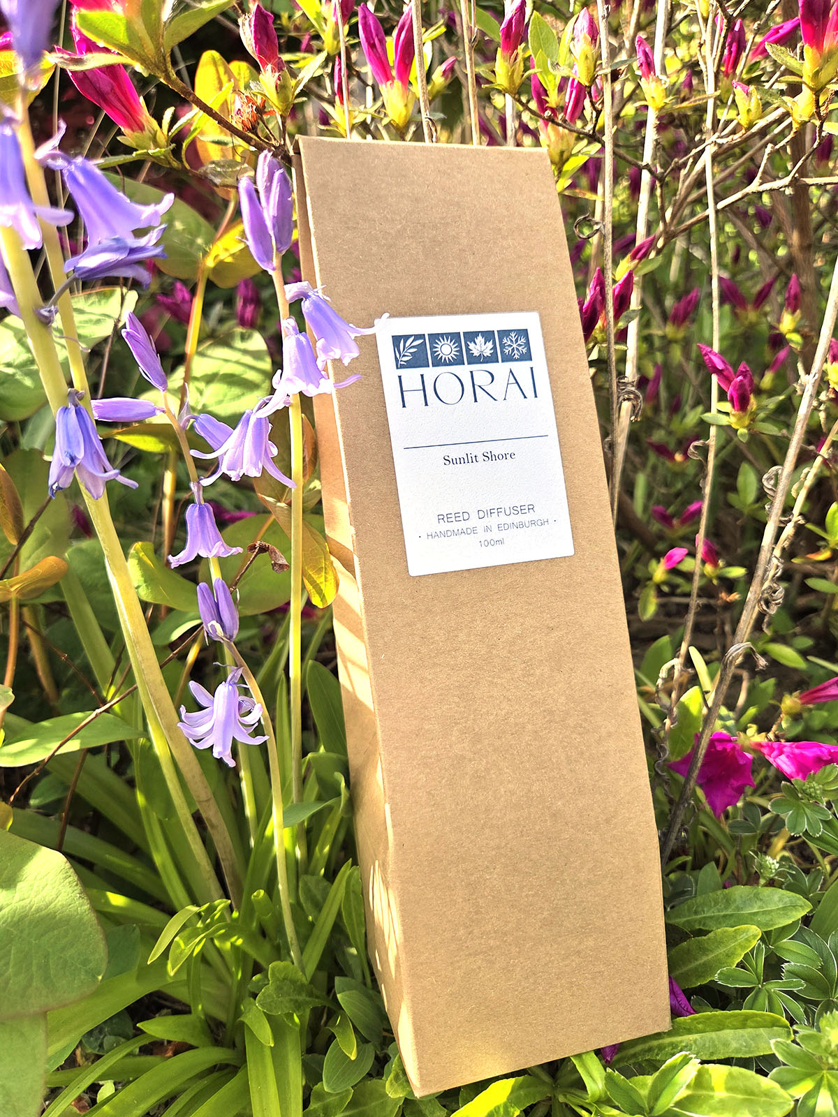 Sunlit Shore Reed Diffuser