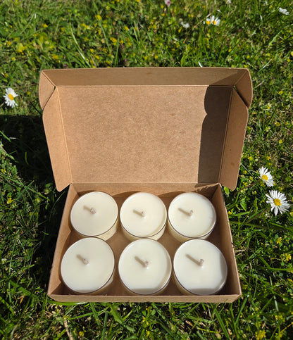 Sunlit Shore Tealight Set